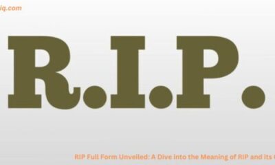 RIP Full Form Unveiled: A Dive into the Meaning of RIP and its Origins