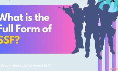 SSF Full Form – What is the full form of SSF?