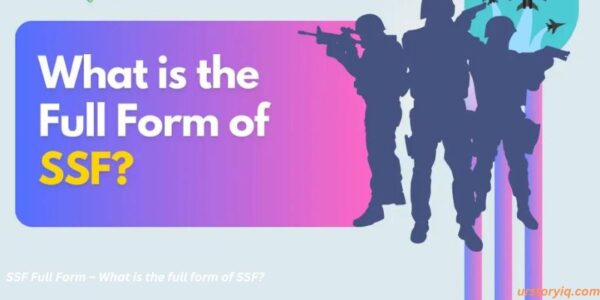 SSF Full Form – What is the full form of SSF?