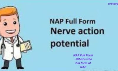 NAP Full Form - What Is the full form of NAP