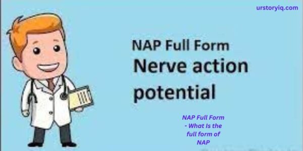 NAP Full Form - What Is the full form of NAP