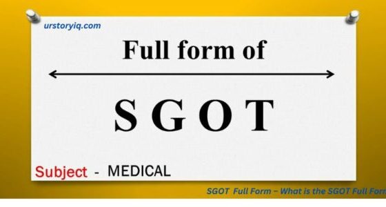 SGOT Full Form – What is the SGOT Full Form?