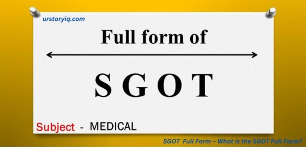 SGOT Full Form – What is the SGOT Full Form?