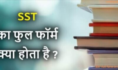 SST full form in Hindi 