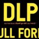 DLP full form | डीएलपी फुल फॉर्म | DLP क्या है ?