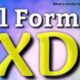 What is the full form of XD - XD full form