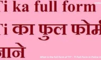 What is the full form of TI? – TI Full Form in Police in Hindi