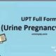 UPT full form in Medical – What is the full form of UPT?