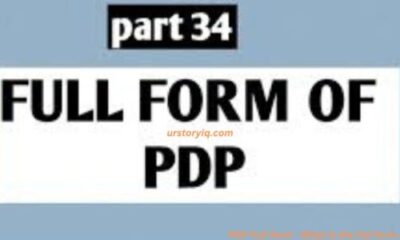 PDP Full form - What is the full form of PDP