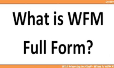 With Meaning in Hindi - What is WFM Full Form