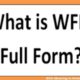 With Meaning in Hindi - What is WFM Full Form